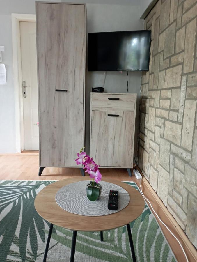 Privatni Smestaj Tesevic Zlatibor Ngoại thất bức ảnh