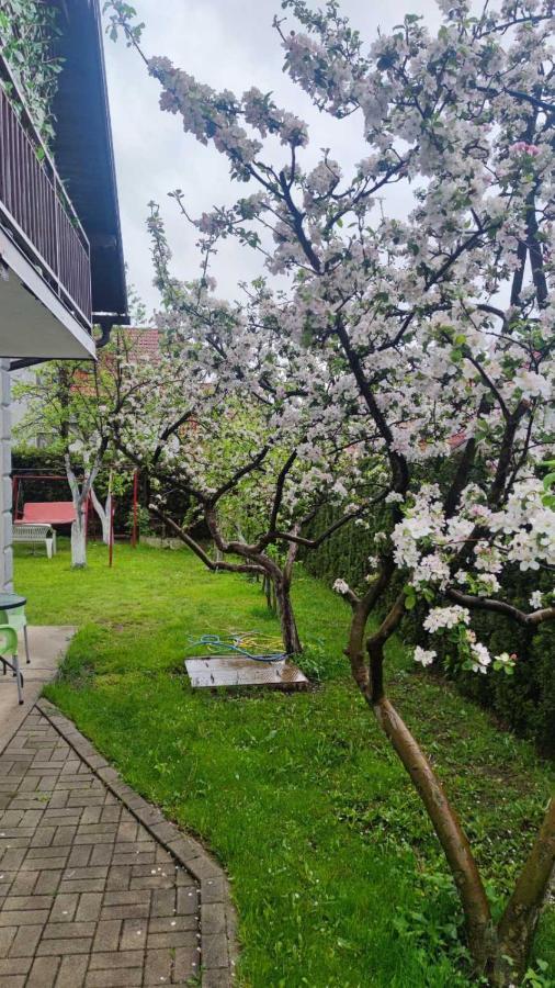 Privatni Smestaj Tesevic Zlatibor Ngoại thất bức ảnh