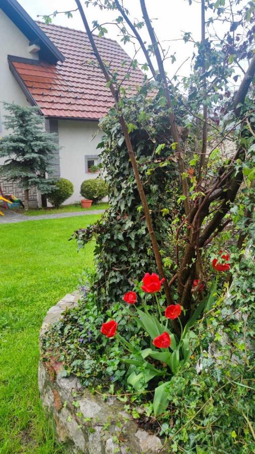 Privatni Smestaj Tesevic Zlatibor Ngoại thất bức ảnh